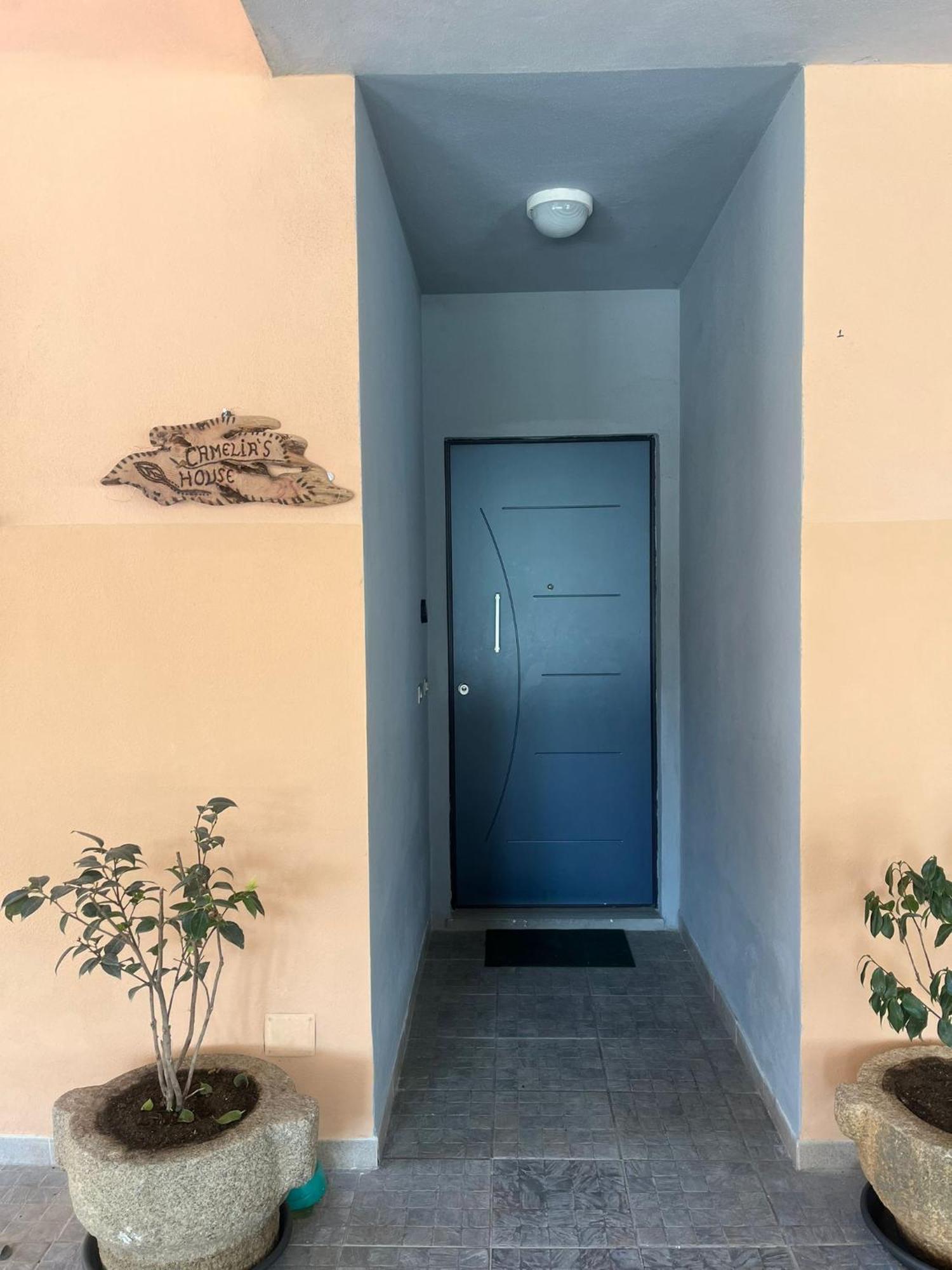 Camelia'S House Διαμέρισμα Όλμπια Εξωτερικό φωτογραφία