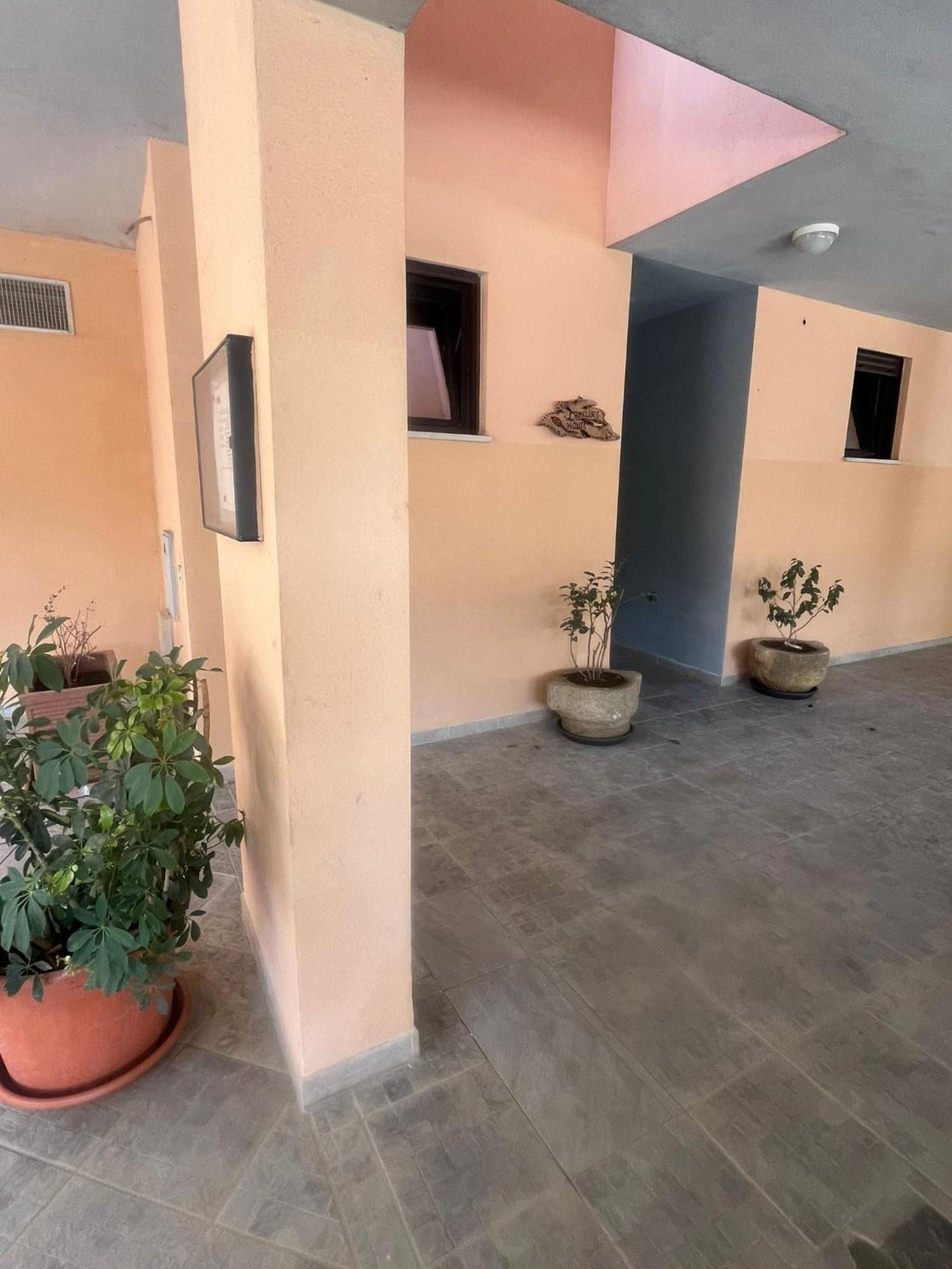 Camelia'S House Διαμέρισμα Όλμπια Εξωτερικό φωτογραφία